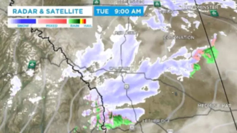 Calgary Braces for Heavy Spring Snowfall: Over 10 cm Expected Amid Warning