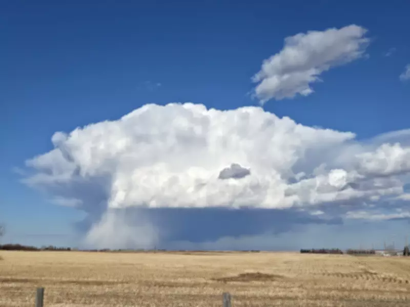 Calgary Braces for Mid-Week Temperature Drop After One More Warm Spring Day