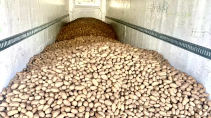 Calgary Charity to Distribute 80,000 Pounds of Free Potatoes This Weekend