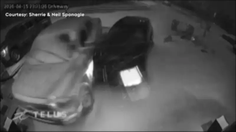 Calgary Hit-and-Run Caught on Camera Damages Evanston Home and Two Vehicles