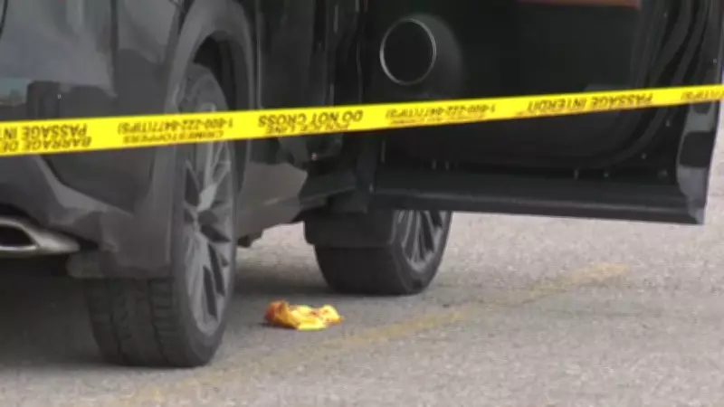 Calgary Man Faces Attempted Murder Charge in CrossIron Mills Stabbing Incident
