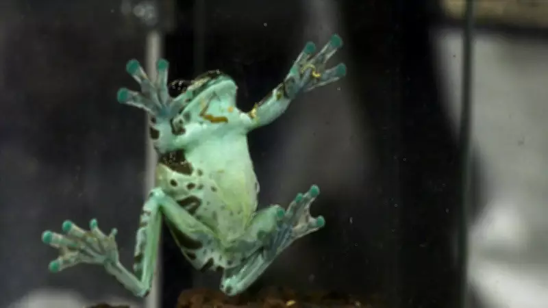 Calgary Reptile Expo Emphasizes Education and Responsible Pet Ownership