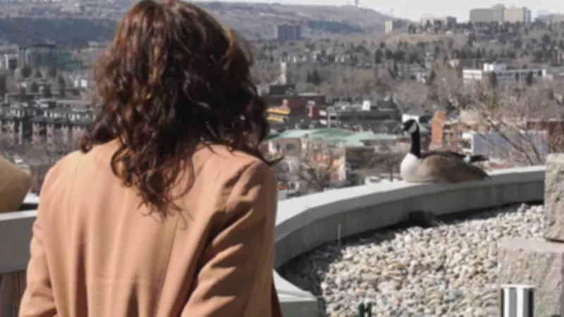 Calgary Resident Advocates to Protect Goose Nest on Condo Balcony from Removal