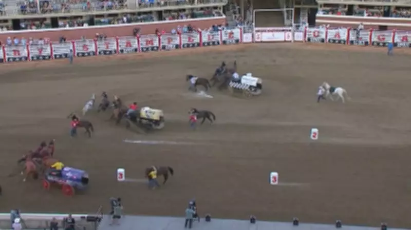 Calgary Stampede Canvas Auction Aims to Top $4 Million for Chuckwagon Drivers