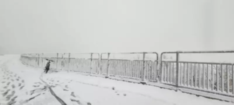 Calgary to Enjoy Bright, Warmer Weather for Easter Weekend