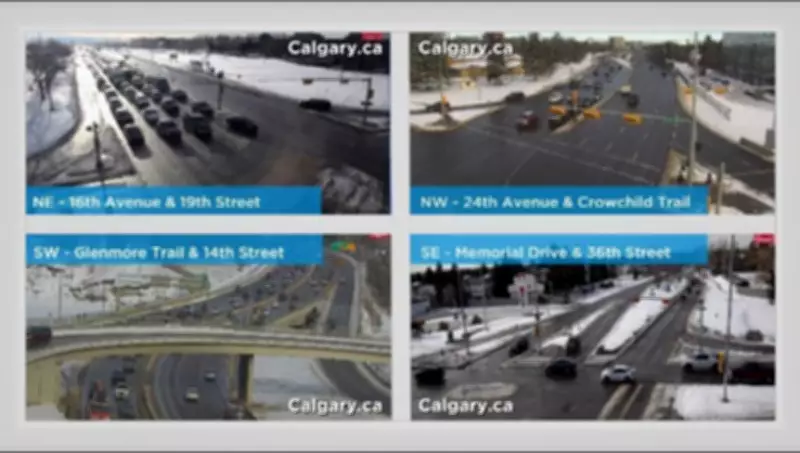 Calgary's Spring Thaw: Weekend Warmth to Melt Snow, 21°C Highs Next Week