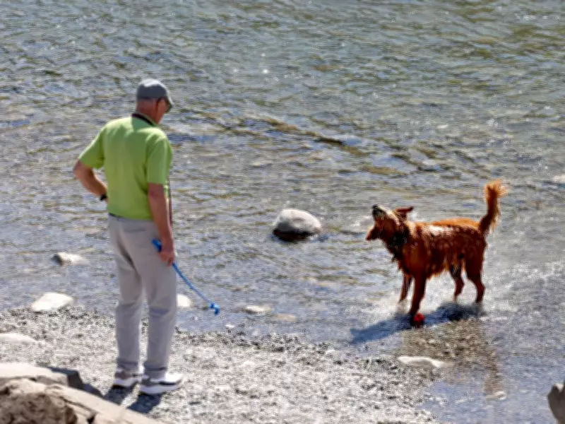 Calgary's Spring Weather Roller Coaster Continues with Snow and Temperature Swings