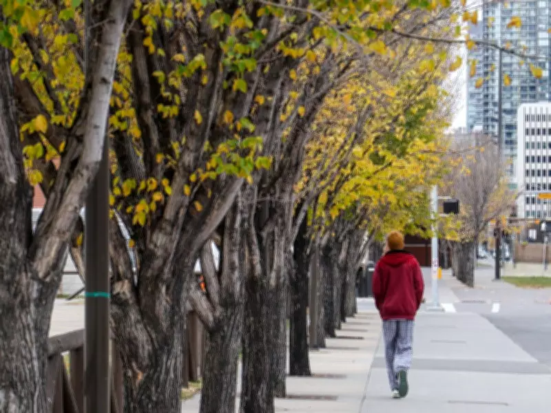 Calgary's Tree Canopy Analysis: Which Neighborhoods Offer the Most Shade?