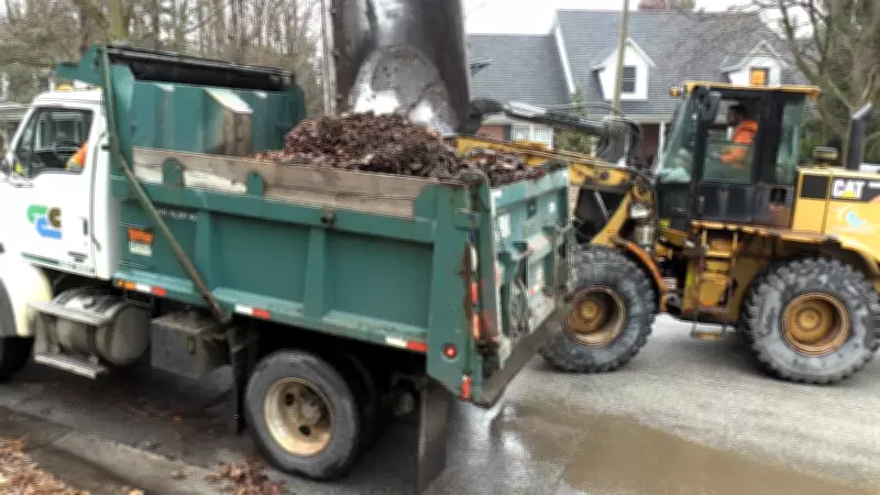 Cambridge Resumes Seasonal Loose Leaf Collection Program