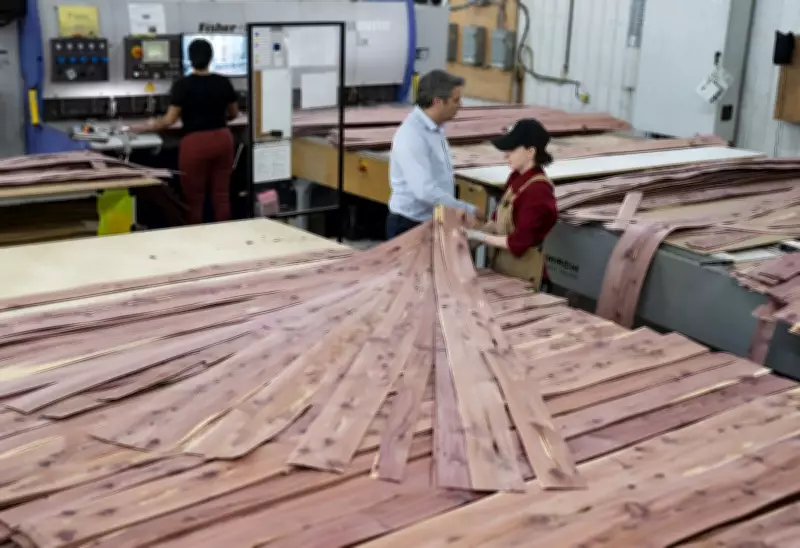 Canada Launches Anti-Dumping Probe into Chinese Plywood Imports