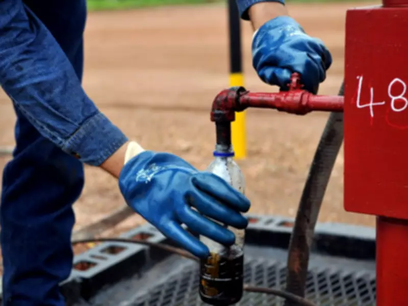 Canada Must Invest in Global Partnerships to Diversify Trade