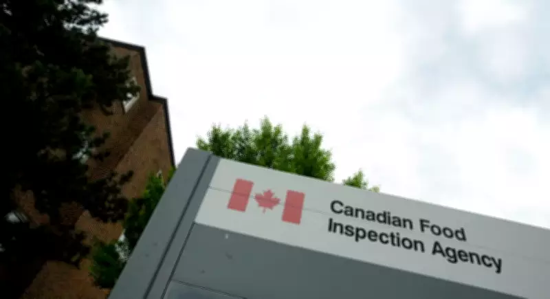 CanadaEgg Salmonella Recall Expands to Ontario and Quebec Products