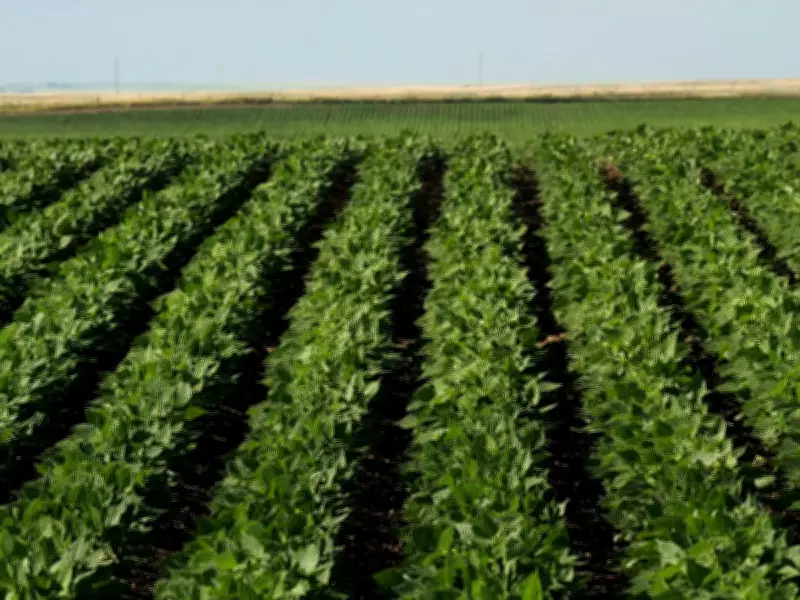 Canada's $20-Billion Spring Megaproject: The Quiet Agricultural Revolution