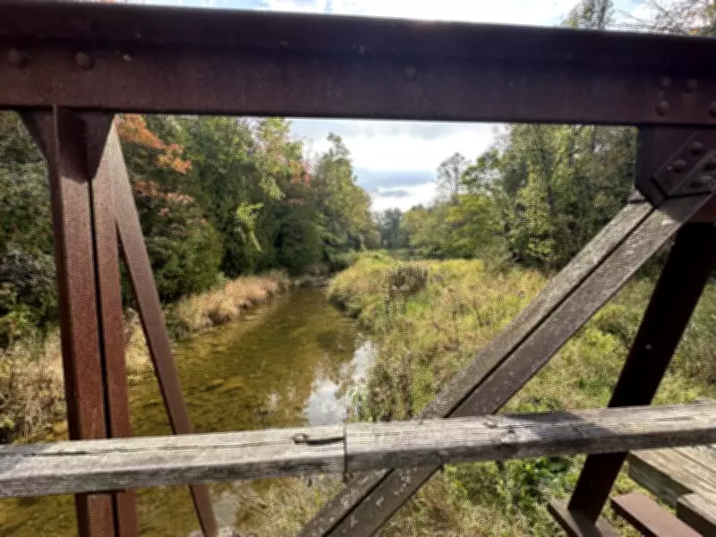 Canada's $3.8B Nature Plan Faces Implementation Doubts, CPAWS Warns