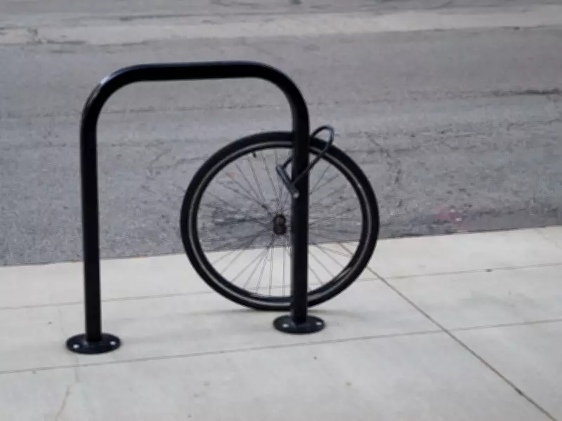 Canada's Erosion of Social Trust: From Urban Centers to Small Towns