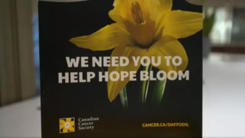 Cancer Survivor Shares Dual Perspective on Daffodil Month Campaign