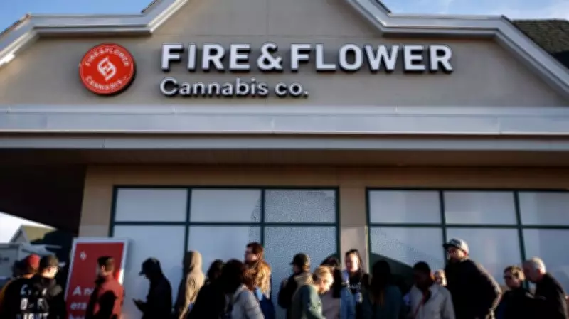 Cannabis Impact on Youth Mental Health and Brain Development Explored