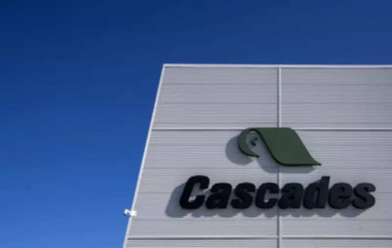 Cascades Lowers Q1 Financial Outlook, Stock Price Declines Following Announcement