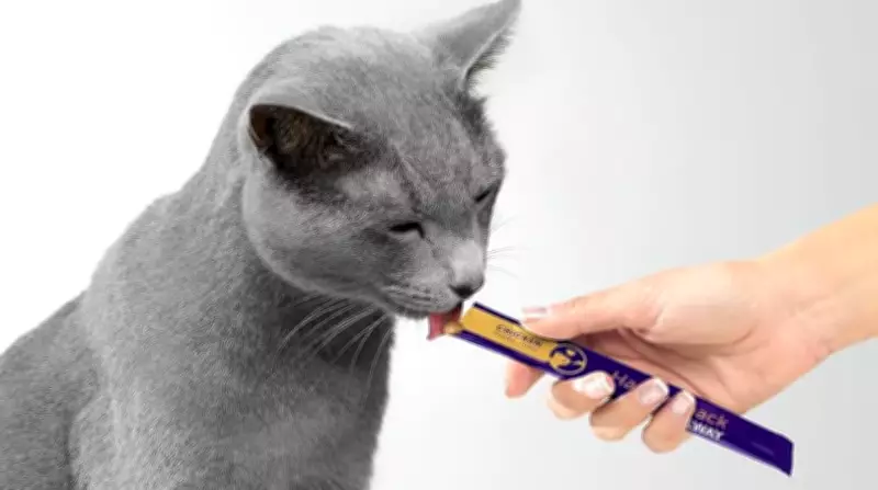 Cat Go-Gurt: Why Lickable Treats Are a Feline Favorite and How to Use Them Safely