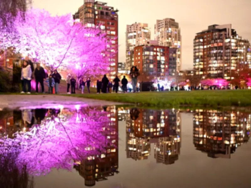 Cherry Blossom Scouts Guide Vancouver Through Fleeting Spring Season