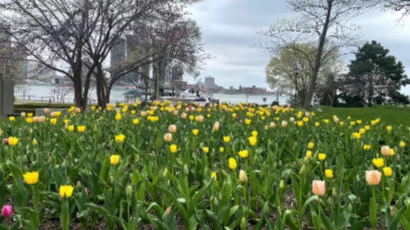 Cloudy and Rainy Easter Sunday Forecast for Windsor-Essex Region