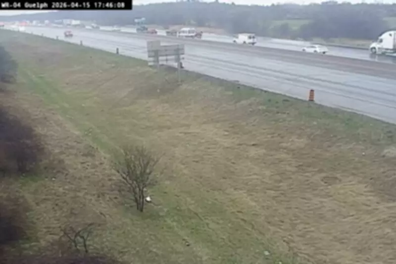 Collision Shuts Down Highway 401 On-Ramp Near Morriston, Ontario