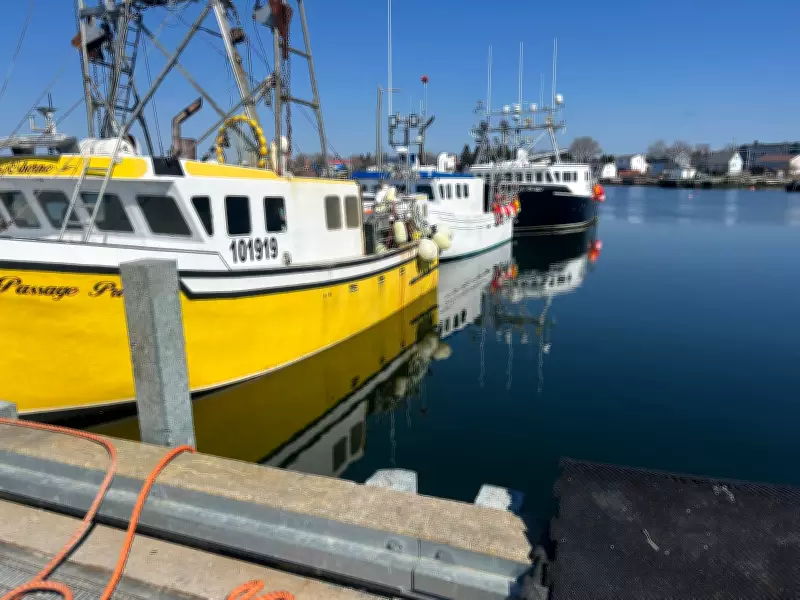 Cool Ocean Temperatures and High Fuel Costs Spark Concern for Nova Scotia Lobster Industry