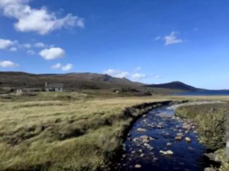 Corporate Leaders Find Renewal Through Nature-Based Professional Retreats