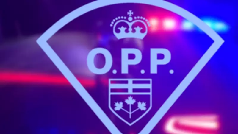 County Road 15 Near Harrow Closed After Transport Truck Collision