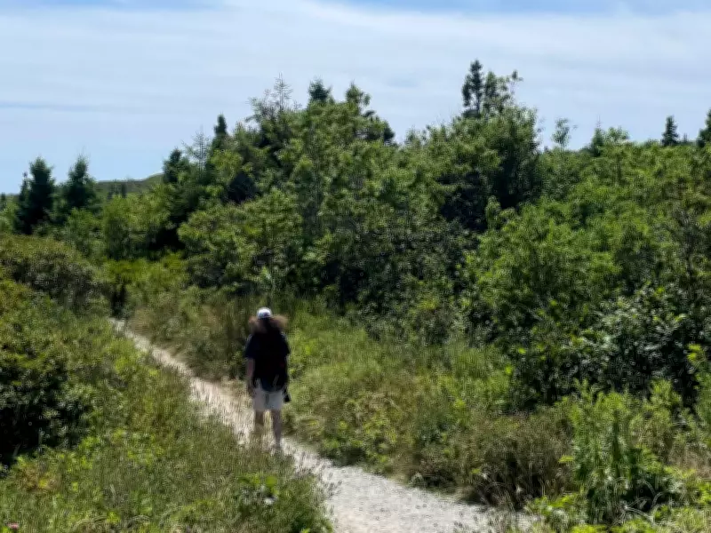 Court Rules Nova Scotia Forest Ban Violated Charter Rights Without Notwithstanding Clause