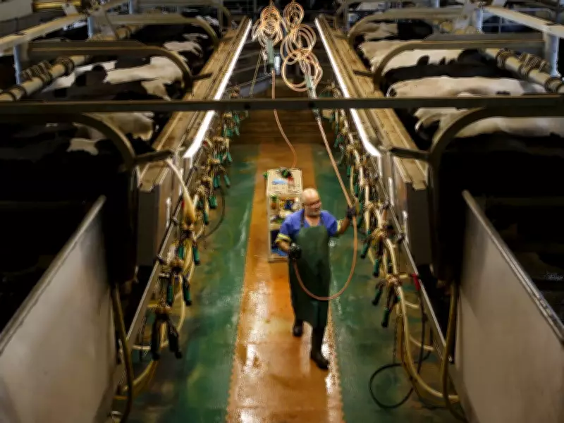 Dairy Quotas and CUSMA: Canada Faces Tough Trade Negotiations with U.S.