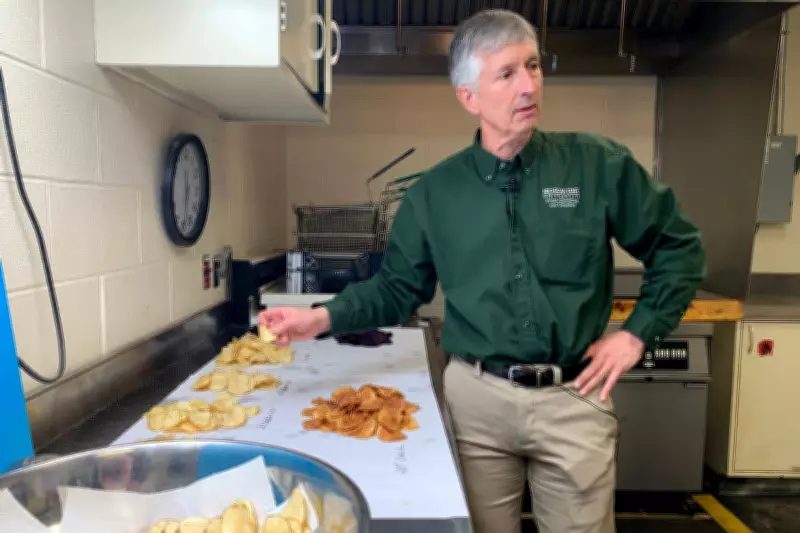Decades of Potato Breeding for Perfect Chips: The Science Behind the Snack
