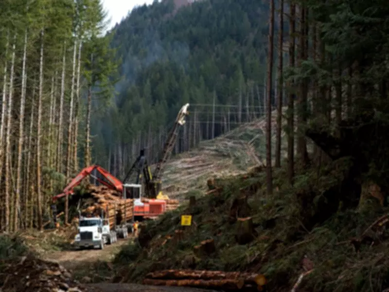 Deloitte Downgrades British Columbia's Economic Forecast to 1.2% Growth