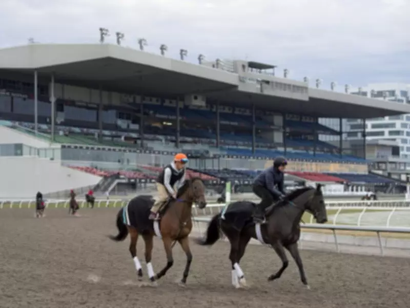 Discover Free Activities in Toronto for the Next Four Weeks