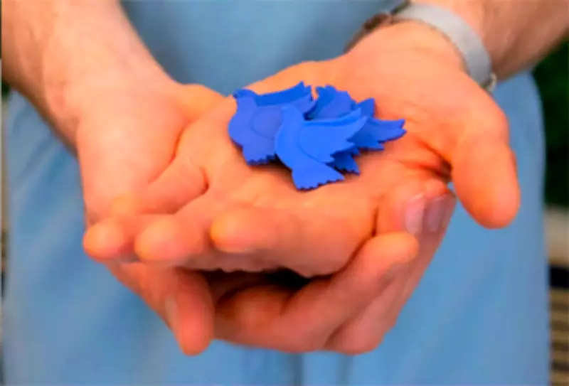 Dove Pin Campaign Returns to Support Hospice Patients and Families