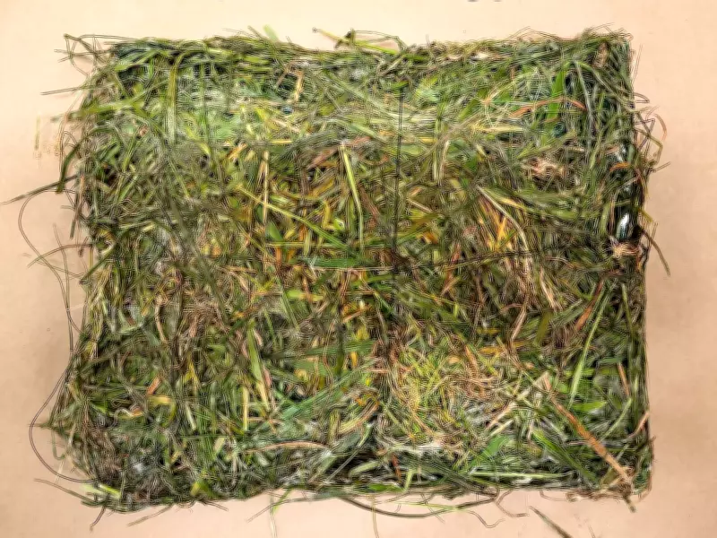 Drugs and Contraband Found in 'Cleverly' Disguised Grass Package at B.C. Prison