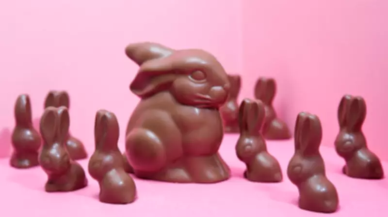 Easter Chocolate Quality: Experts Reveal 3 Red Flags to Avoid Disappointing Treats