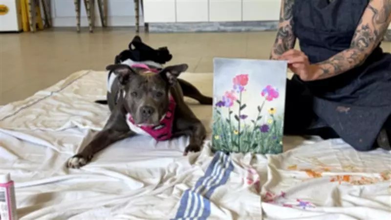 Edmonton Animal Rescue Hosts 'Pawcasso' Art Fundraiser Featuring Canine Artists