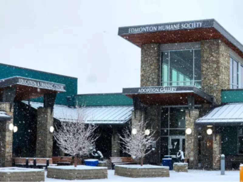 Edmonton Humane Society starts major renovation of adoption gallery