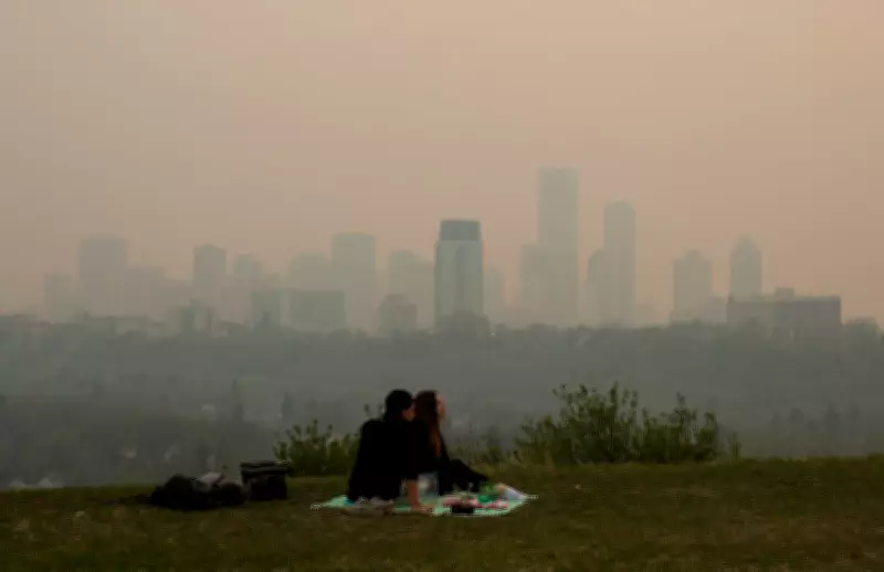 Edmonton Unveils Proactive Wildfire Mitigation Strategy to Combat Future Smoke Crises
