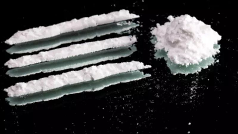 Edmonton Woman Receives Cocaine Shop Flyer in Mail, Questions Data Security