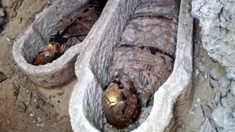 Egyptian Mummy Unearthed with Homeric Text on Abdomen in Historic Find