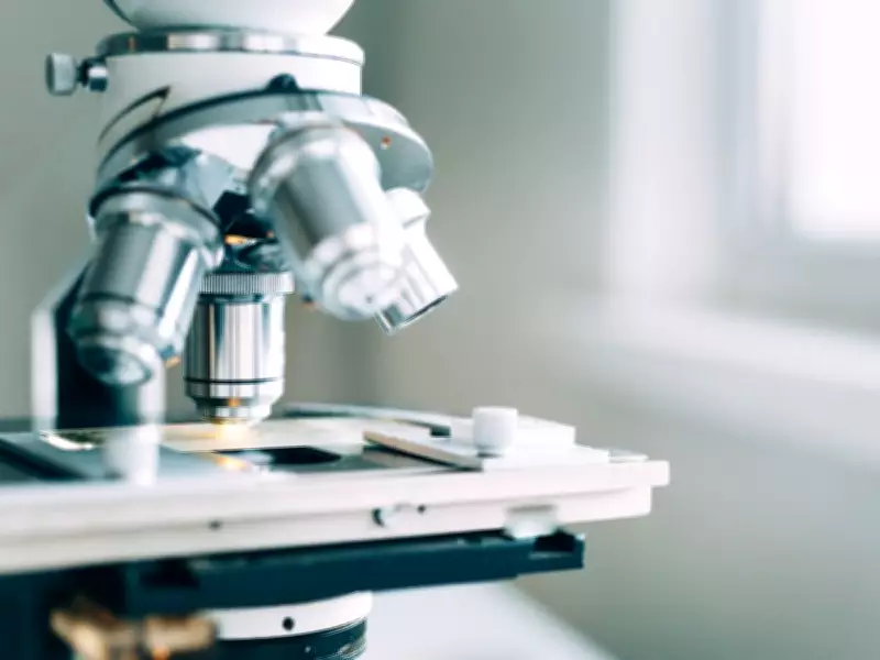 End DEI Targets in Federal Research Funding: Jack Mintz