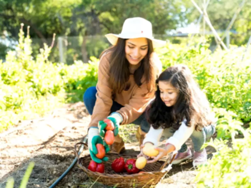 Expert Gardening Tips: Maximizing Vegetable Yield in Limited Spaces