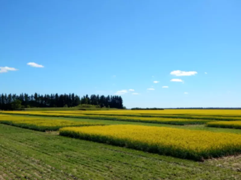 Federal Farm Research Cuts Threaten Organic Agriculture and Food Security