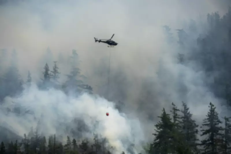 Fires, Drought, and Water Woes to Begin B.C.'s Wildfire Season