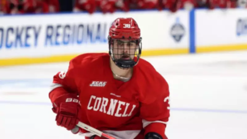 Flames' Immediate Plan for Prospect Jonathan Castagna Analyzed