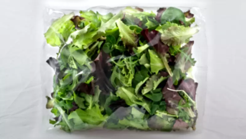 Food Safety Experts Warn: Prewashed Bagged Greens Pose High Contamination Risk