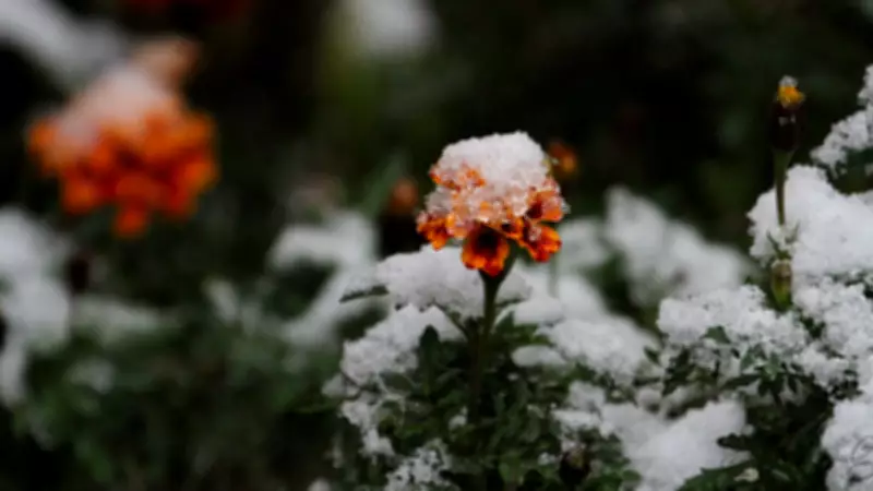 Forest City Braces for Unseasonably Cold Temperatures This Sunday and Monday