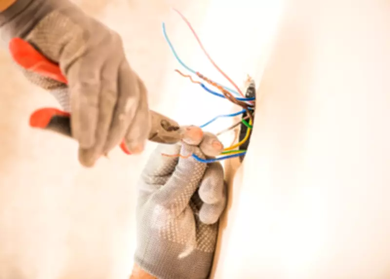 Former Windsor Union Leader Takes Provincial Role to Boost Skilled Trades